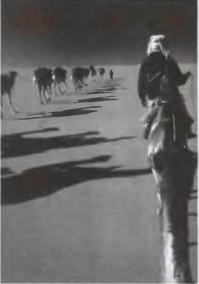 Знание-сила, 2005 № 05 (935) - _84.jpg