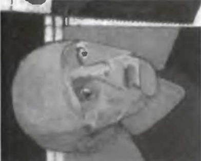 Знание-сила, 2005 № 05 (935) - _52.jpg