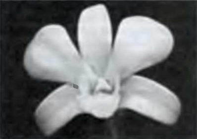 Знание-сила, 2005 № 06 (936) - _5.jpg