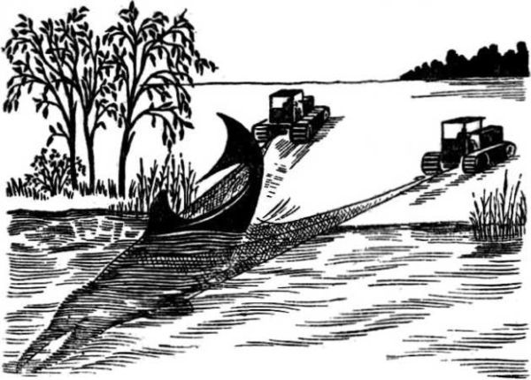 Интервью о морском змее<br />(Забытая палеонтологическая фантастика. Том XII) - i_051.jpg