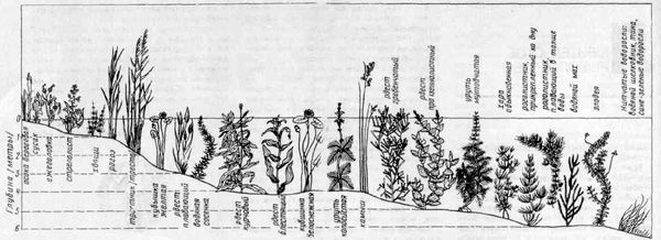 Рыбоводство и рыболовство<br />(Июнь 1982 г.) - i_015.jpg