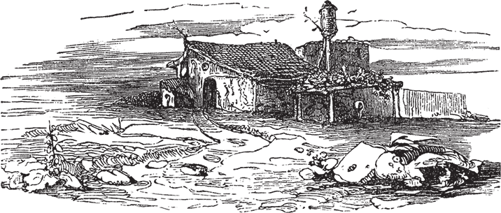 Дон Кихот (с иллюстрациями) (перевод Энгельгардта) - i_012.png