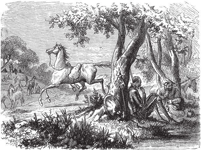 Дон Кихот (с иллюстрациями) (перевод Энгельгардта) - i_056.png