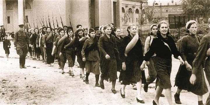 22 июня – 9 мая. Великая Отечественная война - imgd24b41f204ca4541b9eff08df58ab745.jpg