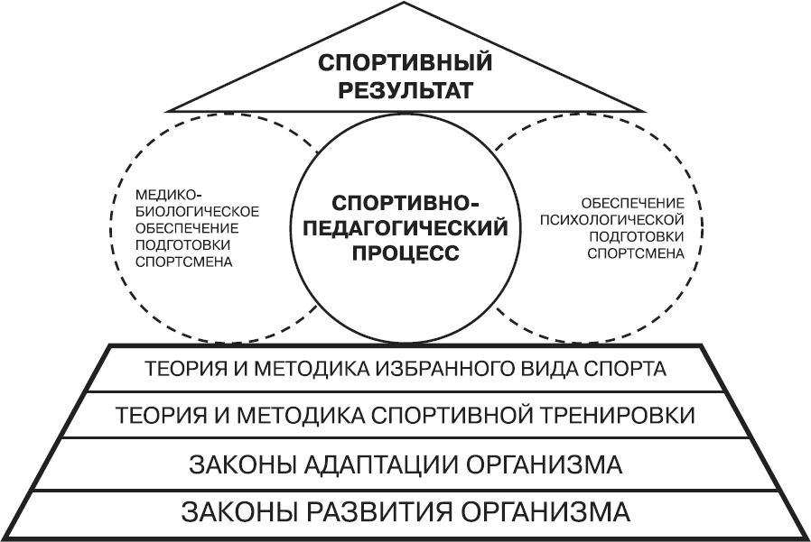 Лазерная стимуляция в медико-биологическом обеспечении подготовки квалифицированных спортсменов - _1.png