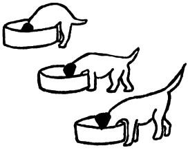 Казки для Дарочки - doc2fb_image_0300000E.png