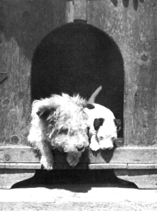 Казки для Дарочки - doc2fb_image_02000039.jpg