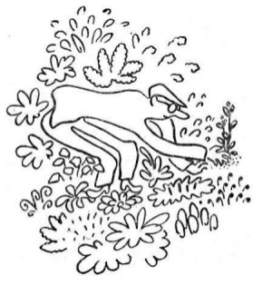 Собрание сочинений в семи томах. Том 6. Рассказы, очерки, сказки - i_020.jpg