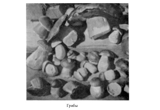 Собрание сочинений в семи томах. Том 6. Рассказы, очерки, сказки - i_171.jpg