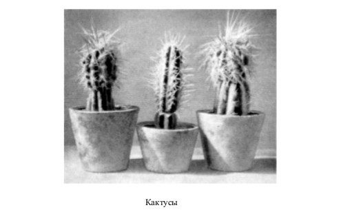 Собрание сочинений в семи томах. Том 6. Рассказы, очерки, сказки - i_174.jpg