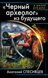 «Черный археолог» из будущего. Дикое Поле - автор Спесивцев Анатолий Федорович 