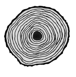 Опасная книга для мальчиков. Классно! Невозможно оторваться! - i_020.png