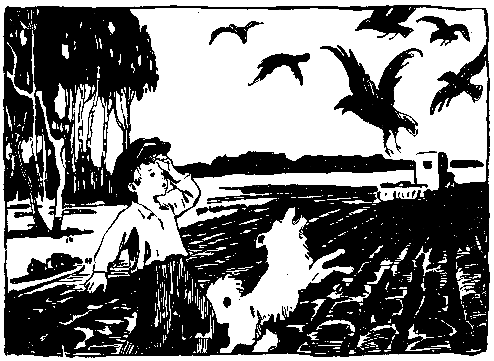 Волшебный берег. Повести - pic_17.png