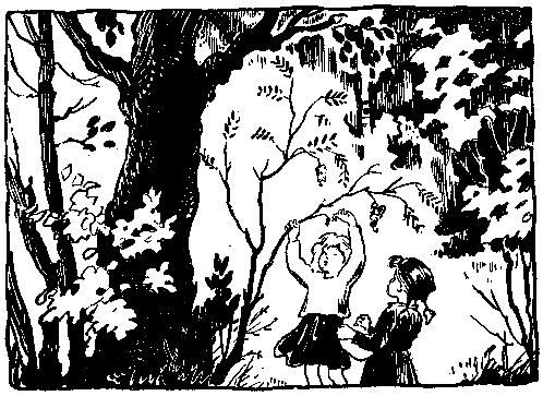 Волшебный берег. Повести - pic_24.png