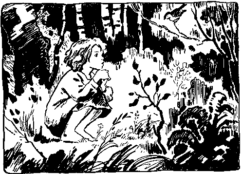 Волшебный берег. Повести - pic_64.png