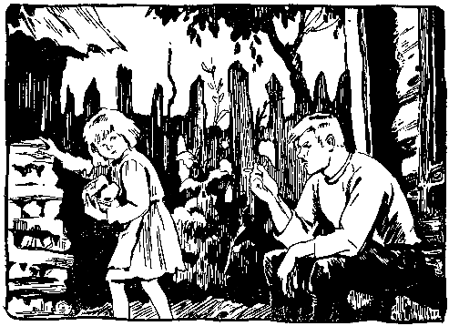 Волшебный берег. Повести - pic_67.png