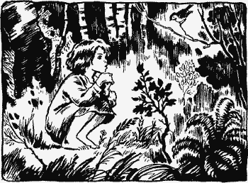 Гуси-лебеди - i_029.png