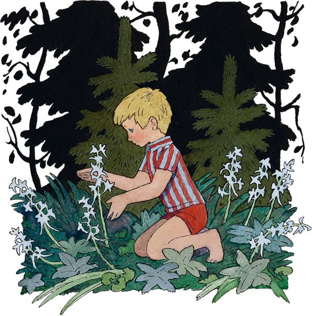 Живой фонарик (сборник) - i_004.png