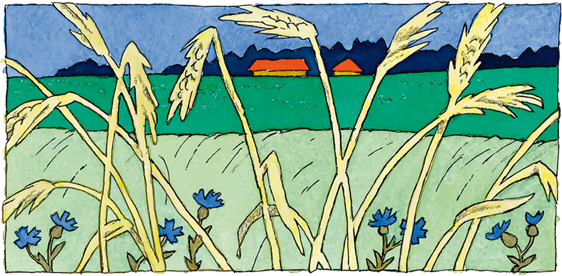 Живой фонарик (сборник) - i_012.png