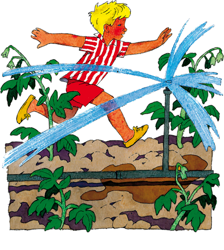 Живой фонарик (сборник) - i_016.png