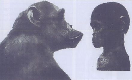 Наследие белых богов - image49.jpg