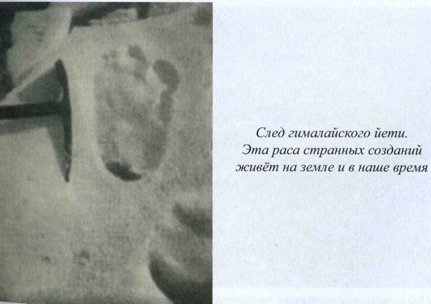 Пути. Дороги. Встречи - i_013.jpg