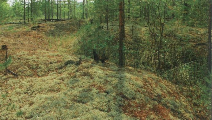 Сияние Вышних Богов и крамешники - f58.jpg