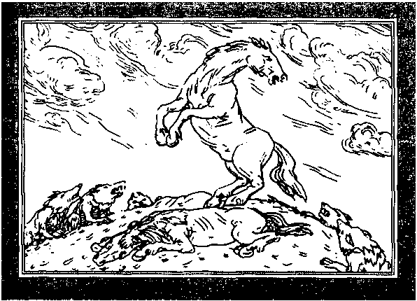 Сказки и легенды ведической руси (по рассказам ведуна Смирнова Виктора Аполлоновича) - i_004.png