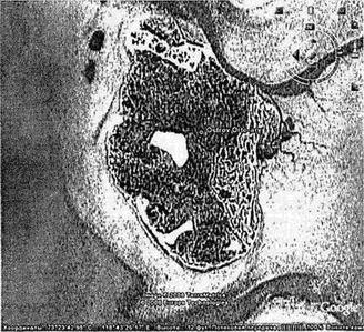 Хронолого-эзотерический анализ развития современной цивилизации. Книга 1. - pic_39.jpg