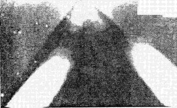 Хронолого-эзотерический анализ развития современной цивилизации. Книга 1. - pic_64.jpg