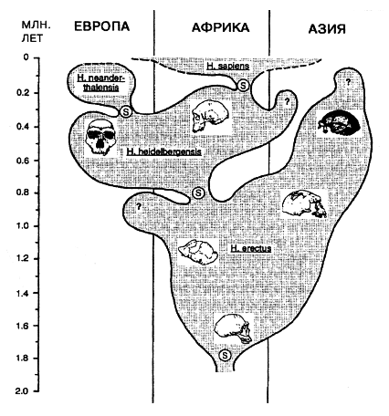 Предки ариев - i_007.png