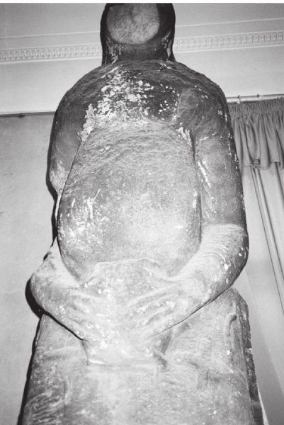 Книга 1. Империя - i_077.jpg