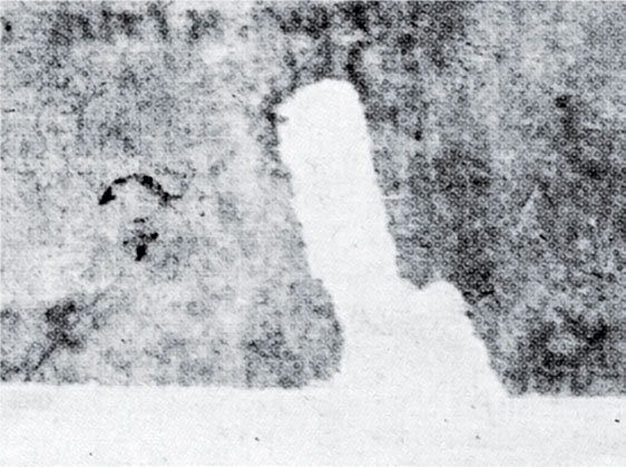 Книга 1. Новая хронология Руси. Русские летописи. - i_017.jpg