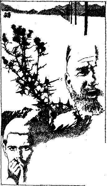 Через триста лет после радуги (Сборник) - i_010.jpg