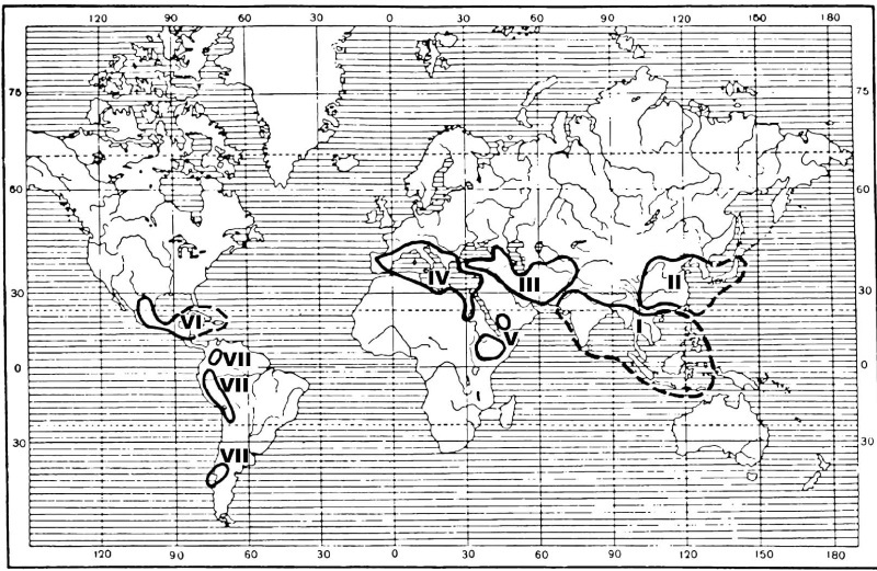КАК все начиналось. Русь и Рим - i_003.jpg