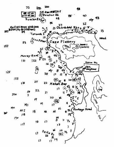 Хорьки-спасатели на море - image02.jpg