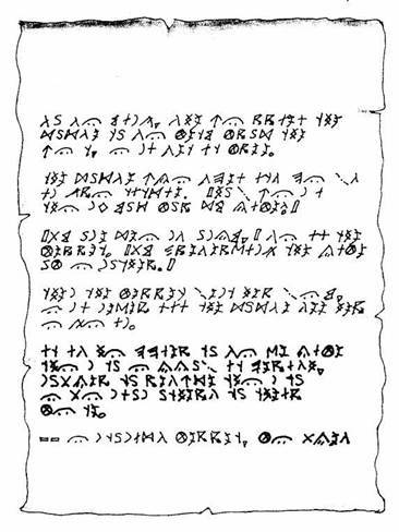 Хорьки-спасатели на море - image06.jpg