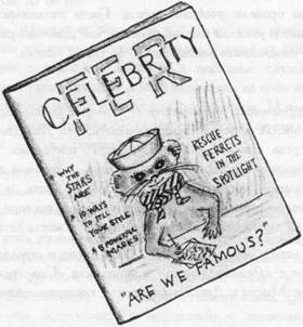 Хорьки-спасатели на море - image18.jpg