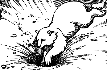 Кольцо белого волка - i_011.png