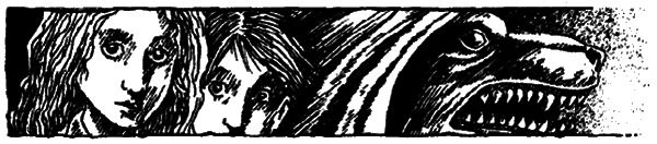 Вовки Кальї. Темна вежа V - i_009.png