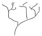 Острів Дума - _3.jpg