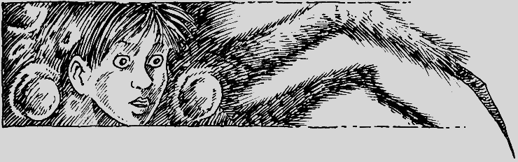 Темна вежа. Темна вежа VII - i_016.png