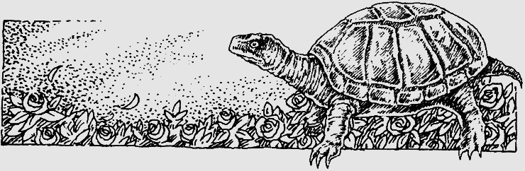 Темна вежа. Темна вежа VII - i_022.png