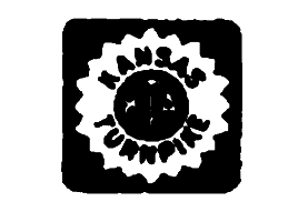 Чаклун та сфера. Темна вежа IV - i_004.png