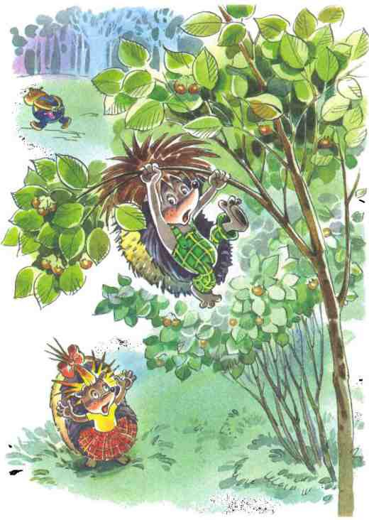 Жили-были ежики - i_027.jpg