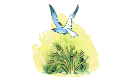 Иван — коровий сын - i_050.png