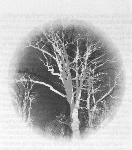 Причуды моей памяти - _18.jpg