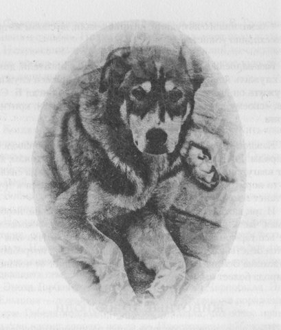 Причуды моей памяти - _19.jpg