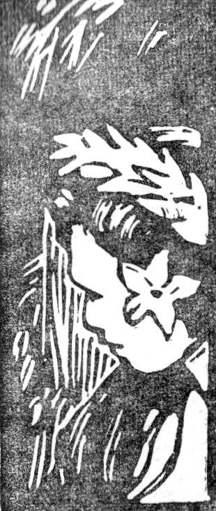 В поисках рая - _123f3e38413a304520304f14.jpg