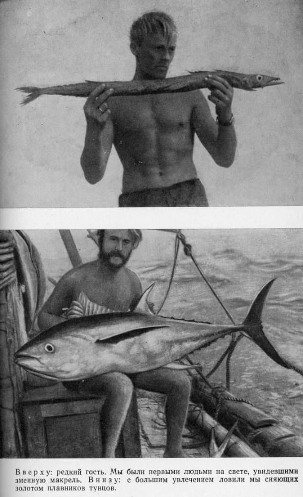 Путешествие на